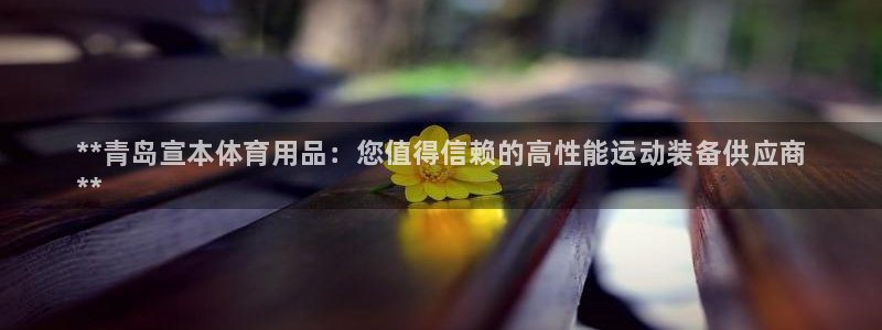 欧陆商城:**青岛宣本体育用品:您值得信赖的高性能运动装备供