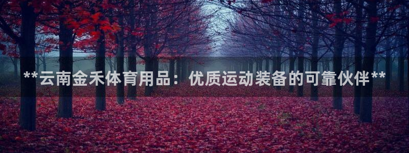 欧陆娱乐客服电话:**云南金禾体育用品:优质运动装备的可靠伙