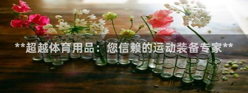 欧陆娱乐平台登陆地址是什么:**超越体育用品:您信赖的运动装