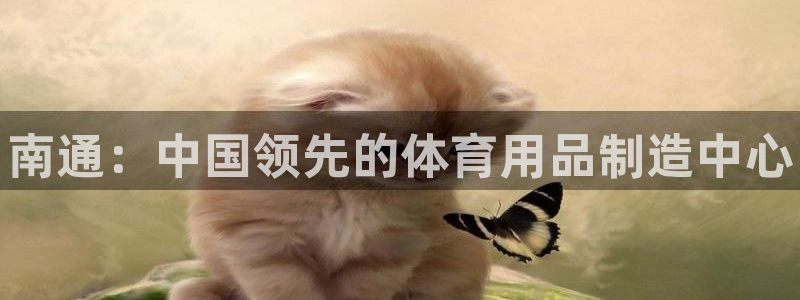 欧陆娱乐可以退钱:南通:中国领先的体育用品制造中心