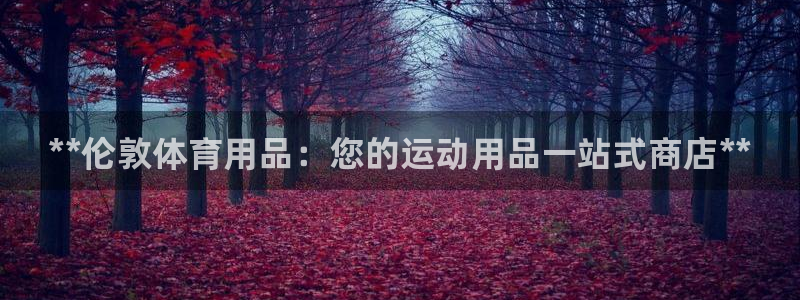 欧陆娱乐代理多少个点位:**伦敦体育用品:您的运动用品一站式